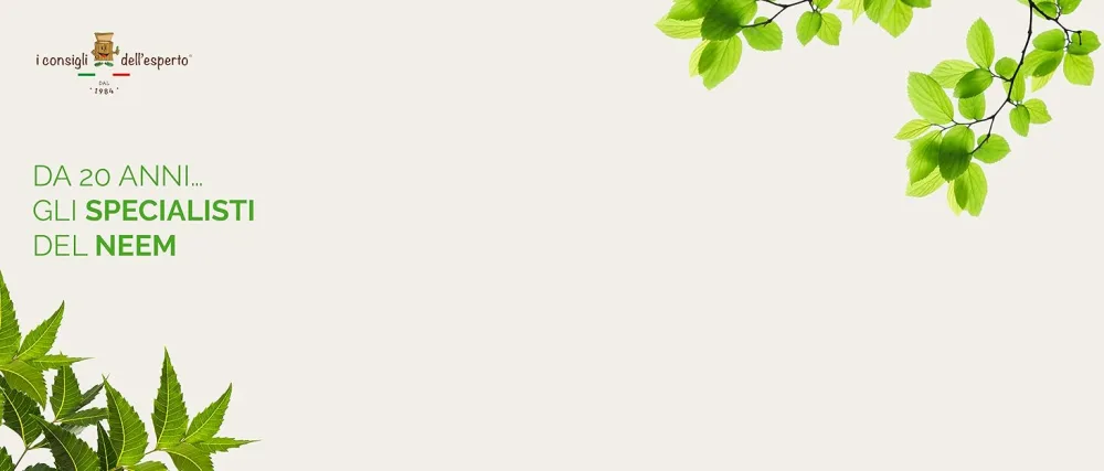 Expert Advice Neemolie 100 ml - ICDE