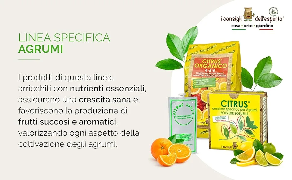 Expert Advice Neemolie 100 ml - Lijn citrusvruchten
