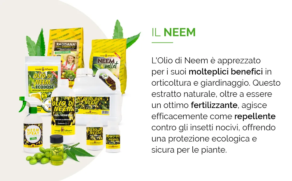 Expert Advice Neemolie 100 ml - Lijn Neem