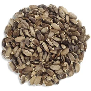 Frontier Co-op Organic Whole Milk Thistle Seed 1lb - Milk Thistle Seed