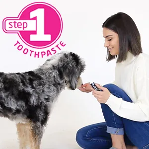Petosan Silent Power Sonic Electric Toothbrush for Dogs  Sm-Lg - Step 1