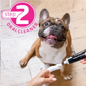 Petosan Silent Power Sonic Electric Toothbrush for Dogs  Sm-Lg - Step 2