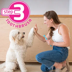 Petosan Silent Power Sonic Electric Toothbrush for Dogs  Sm-Lg - Step 3