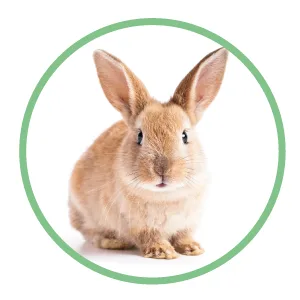 ORS Jojoba Oil  5.5 Ounce - Rabbit - Cruelty Free