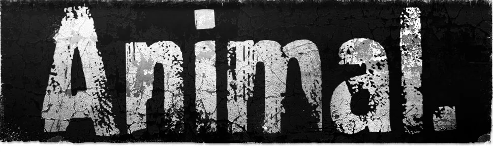 Animal Cuts - Animal Logo Header