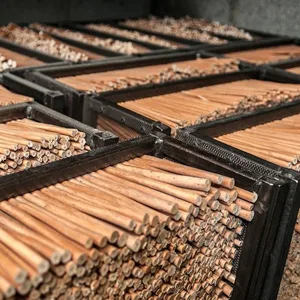 Speedball PH Coate Artist Willow Charcoal Assorted Lengths 30 Sticks  Black 30 Piece Assorted - waiting to burn