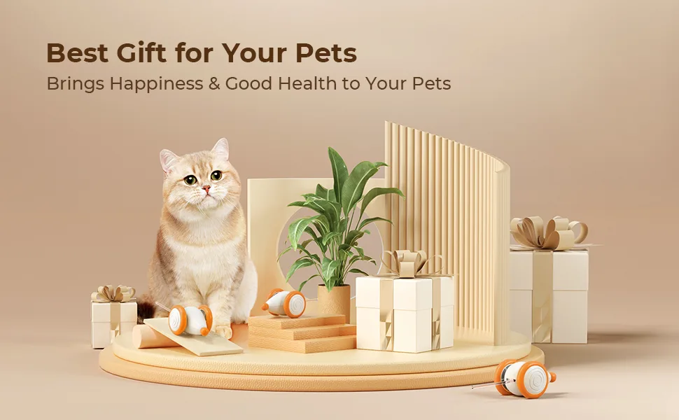 Cheerble Interactive Cat Toys for Indoor Cats Automatic Cat Toy with LED Lights  Wicked Mouse Toy USB Rechargeable Auto On & Off - Yellow - Wicked Mouse