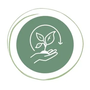  Palmyra Verlag DATTELMANN Organic Matcha Tea Powder 100g - Original from Japan - Caractéristiques :