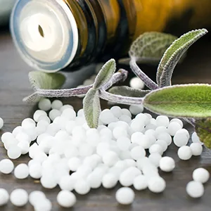  HEGG Serolin | Globuli 10g | Premium Floral Essences | Made in Germany | For Him and Her - Seroline