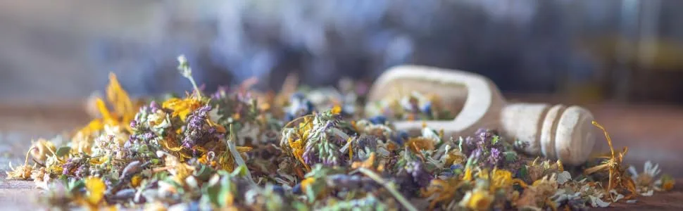  HEGG Serolin | Globuli 10g | Premium Floral Essences | Made in Germany | For Him and Her - Seroline
