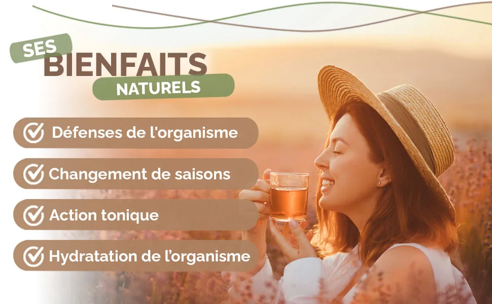  Herbes du Monde Herbes du Monde - Purple Echinacea with Cut Roots - 100 g - aplus content image