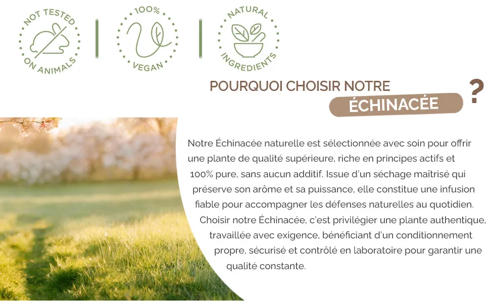  Herbes du Monde Herbes du Monde - Purple Echinacea with Cut Roots - 100 g - aplus content image
