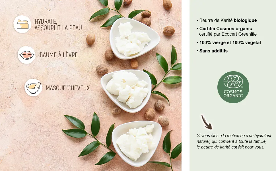  Plan te au Naturel Plan te au Naturel Shea Butter 800g - Organic - 100% Virgin - 100% Plant-Based - No Additives - Unrefined - Beurre de Karité - Utilisations & Propriétés