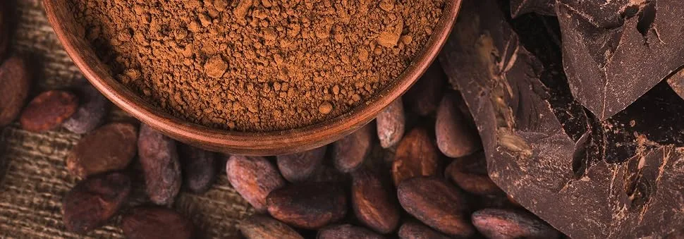  Copaya Copaya Nibs Roh cocoa without additives cocoa from Peruvian cocoa beans top quality beans controlled unrolled and unsweetened 500g - Cacao