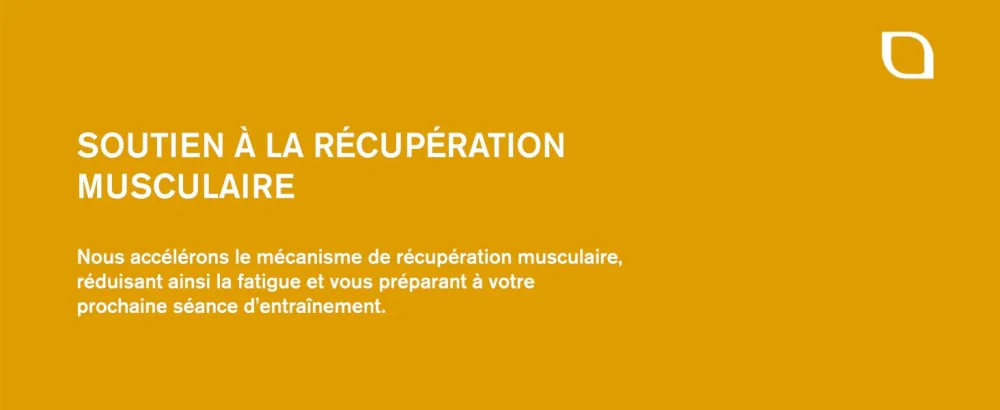  BANDINI Bandini BCAA + Vitamin B1 and B6 | 500 tablets 1000mg | Branched-Chain Amino Acids | Energy and Recovery Support - Récupération musculaire