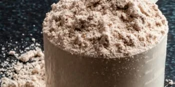Protella - Whey Protein Choco-Latte 1 kg - Whey chocolat 1 kg