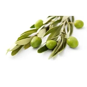  SMcosmetica Lightening cream with olive extract lemon and snail mucin 30 ml - Extrait d'olive