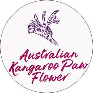  Aussie Aussie Mega Shampoo 500 ml - Aussie Mega Hair
