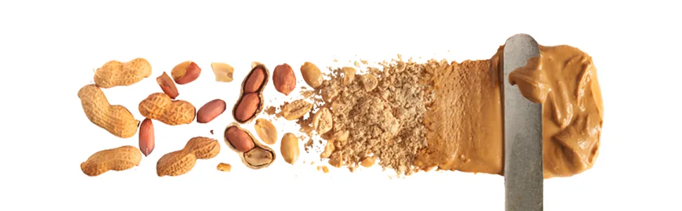  PBfit PBfit BetterBody Peanut Butter Powder 225g - 36 FR