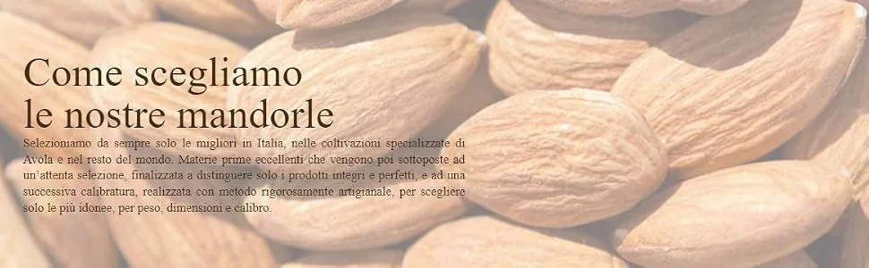  Confetti Maxtris Maxtrix Sweet Arrival Hazelnuts Degrade Light Blue 500 g - product information 2