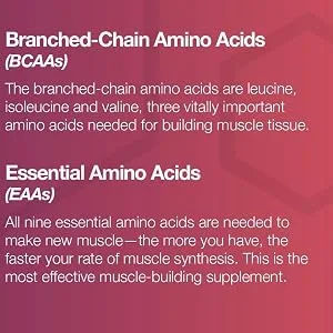 ADAPT NUTRITION ADAPT Nutrition IntraAMINO Powder 480g - Explication