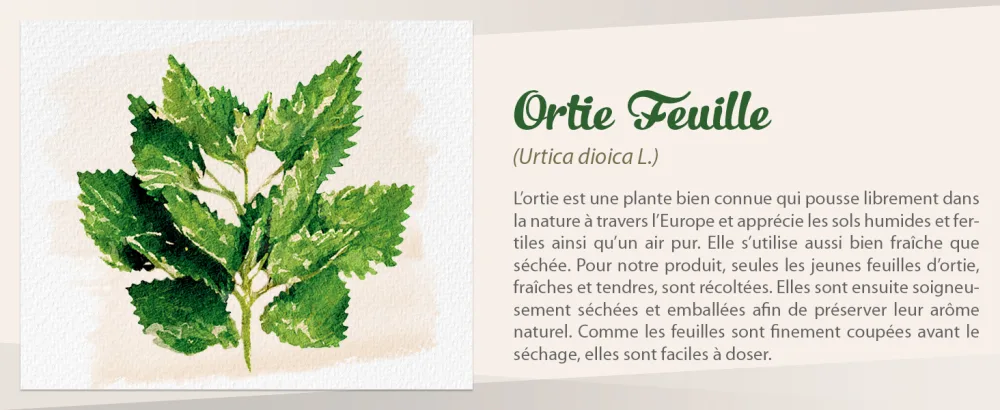  Biojoy Biojoy Organic Nettle Tea (100 g) dried and cut Nettle leaves (Urtica dioica) - aplus content image