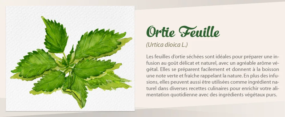  Biojoy Biojoy Organic Nettle Tea (100 g) dried and cut Nettle leaves (Urtica dioica) - aplus content image