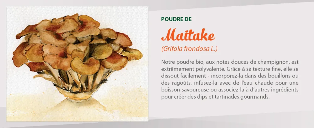  Biojoy Biojoy Organic Maitake Powder (50 g) Maitake mushrooms dried and finely ground (Grifola frondosa L.) - aplus content image