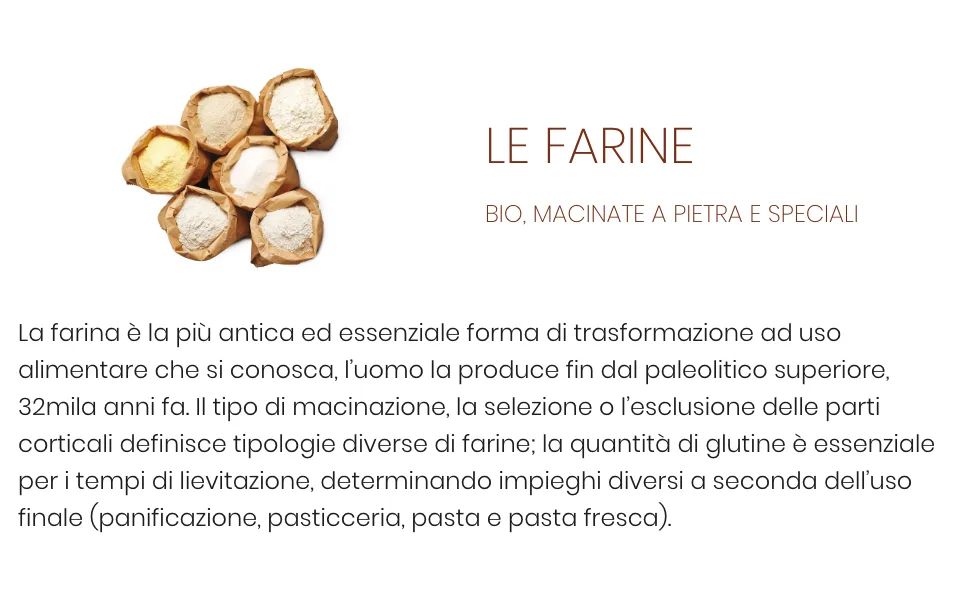  Bongiovanni Sunflower lecithin 500 g - farine