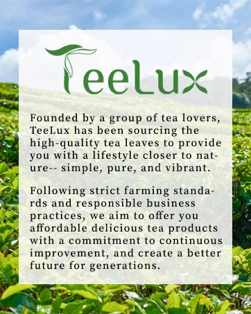  TeeLux TeeLux Matcha Green Tea Powder 50 Single-Serve Sticks Vegan Instant Sachets Vibrant Culinary Quality - TeeLux