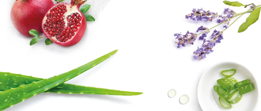  Corpore Sano Corpore Sano Aloe Vera Gel 500ml - product information 1