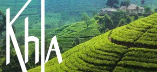  Khla Organic Angkor Green Tea (500g bag) - product information 2