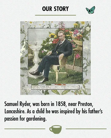  Heath & Heather Heath & Heather Organic Chamomile & Spearmint Tea Bags (120 Bags Total) - Chiné et chiné