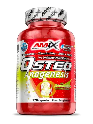  AMIX Amix Protector/Regenerator Food Supplement 750g - protéines pour augmenter la masse musculaire,créatine monohydratée,créatine monohydratée,créatine amix