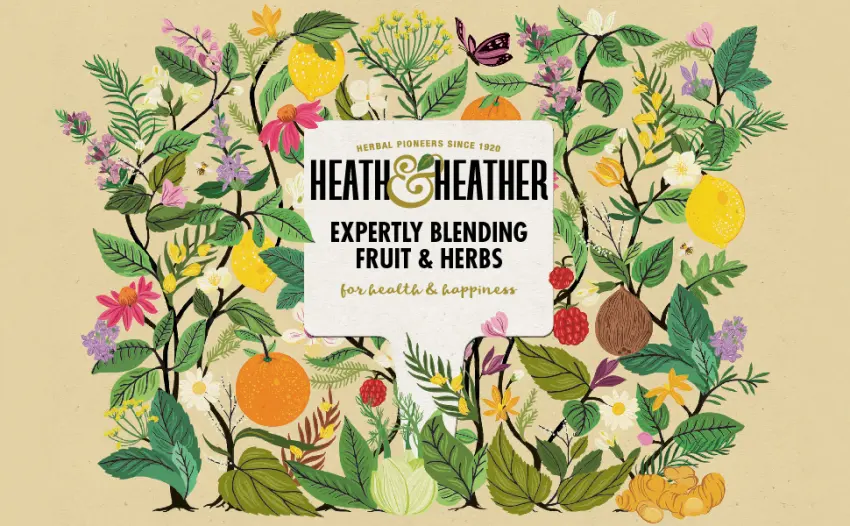  Heath & Heather HEATH & HEATHER Cynorrhodon sauvage bio - 20 sachets - Lot de 6 - Bruyère