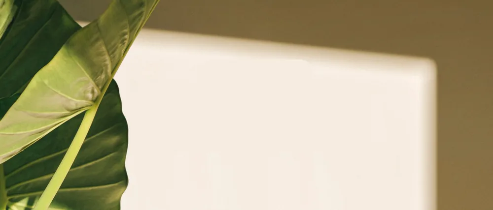  Natura Biss Natura Biss Essential Shock Intense Retinol Night Renewal | Firming | Exfoliating | 30ml - product information 1