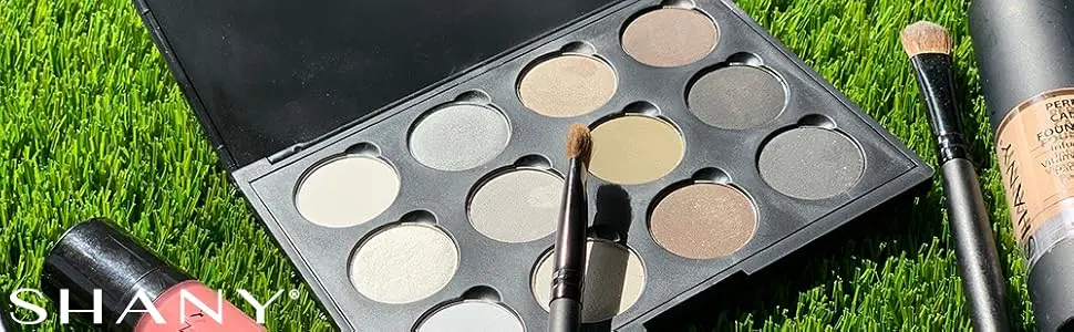 SHANY 12 Color Smoky Eye shadow Palette - eyeshadow palette