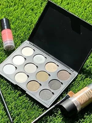 SHANY 12 Color Smoky Eye shadow Palette - eyeshadow palette