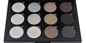 SHANY 12 Color Smoky Eye shadow Palette - eyeshadow palette