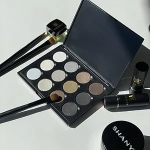 SHANY 12 Color Smoky Eye shadow Palette - eyeshadow palette