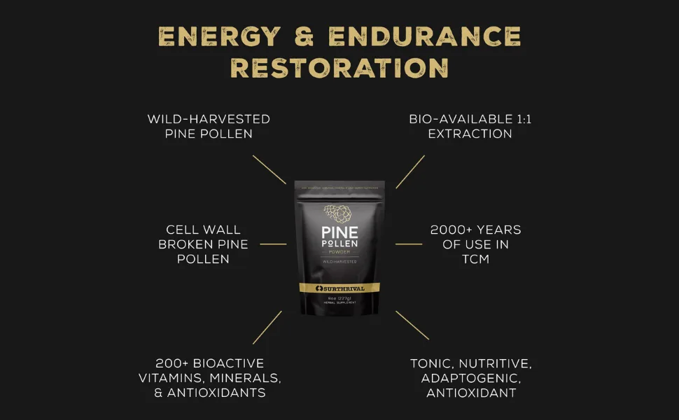 Surthrival: Pine Pollen Powder (48g)  Wild Harvested  Energy & Endurance Restoration - pine pollen powder surthrival wild harvested bioactive minerals