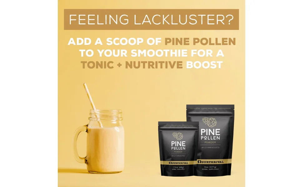 Surthrival: Pine Pollen Powder (48g)  Wild Harvested  Energy & Endurance Restoration - surthrival pine pollen powder smoothie mix nutritious scoop