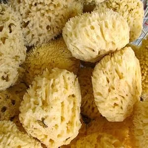 Natural Sea Sponge 6-7 by Spa Destinations Creating The At-Home Spa Experience - sponges