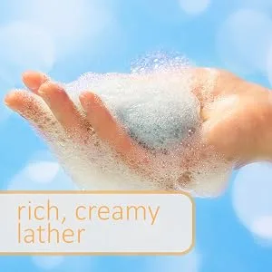 Dial Antibacterial Bar Soap  Refresh & Renew  Spring Water  4 oz  8 Bars - rich, creamy lather