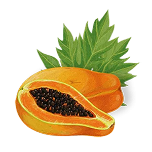 Biotique BIO PAPAYA Revitalizing Tan- Removal scrub 75gm/ 2.65 Fl.Oz - Papaya