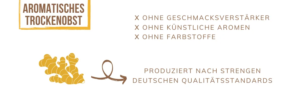 1001 Frucht 1001 Fruit Ginger Chocolates with Chocolate Coating 250g | Soft Chocolate | Ginger Chocolate - Fruits secs