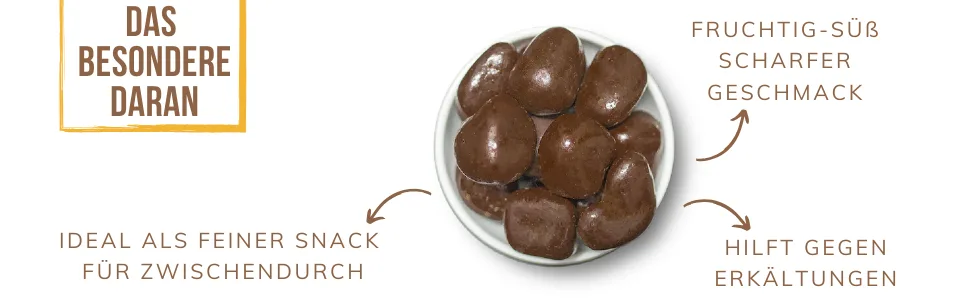  1001 Frucht 1001 Fruit Ginger Chocolates with Chocolate Coating 250g | Soft Chocolate | Ginger Chocolate - La particularité