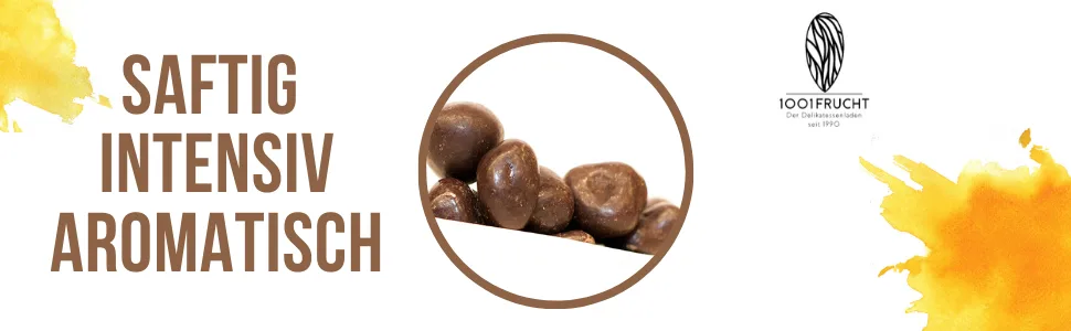  1001 Frucht 1001 Fruit Ginger Chocolates with Chocolate Coating 250g | Soft Chocolate | Ginger Chocolate - Ouvre-porte