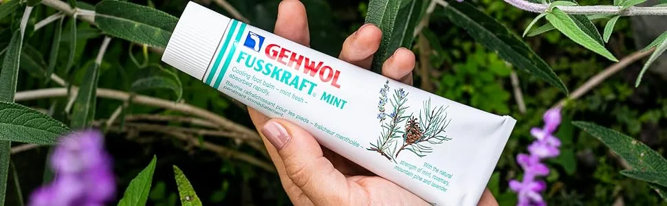 GEHWOL Mint  2.6 oz - GEHWOL mint