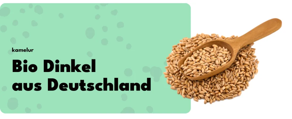 Kamelur Kamelur Organic spelt (1 kg) - whole grain from controlled organic farming in Germany - Le texte indique « Bio Dinkel aus Deutschland » avec une cuillère en bois contenant des grains bruns ou des graines sur fond vert menthe.